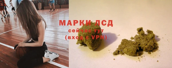 apvp Аркадак
