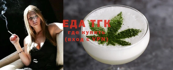 хмурый Пересвет